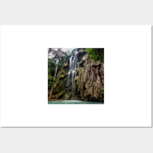 Tumalog Falls Posters and Art